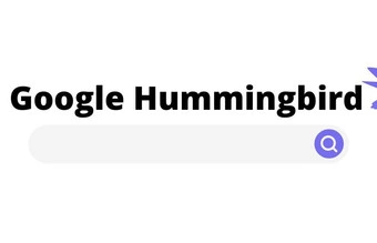 L'impact de la mise à jour Google Hummingbird