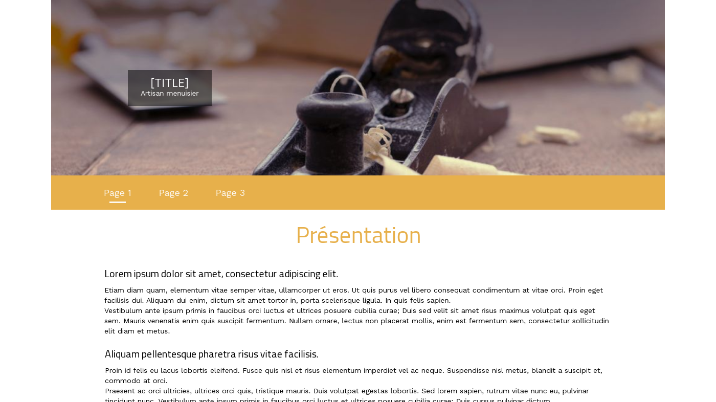 Theme for website creation of Menuisier 