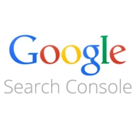 Console Google Search