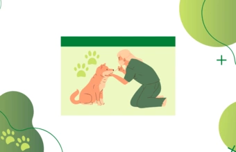 Crear una página web de veterinaria